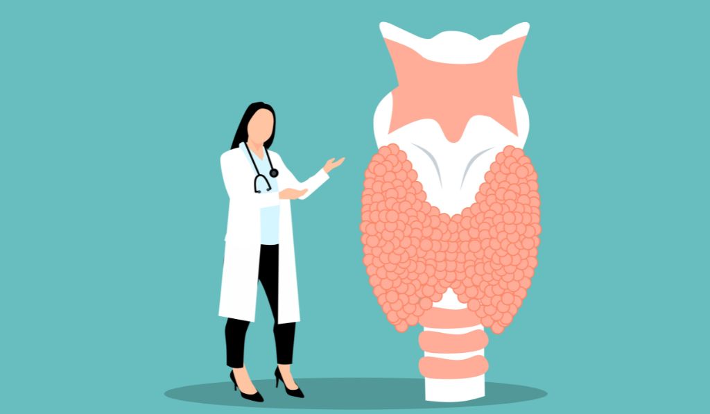 How Your Thyroid Controls Hair Growth and Loss