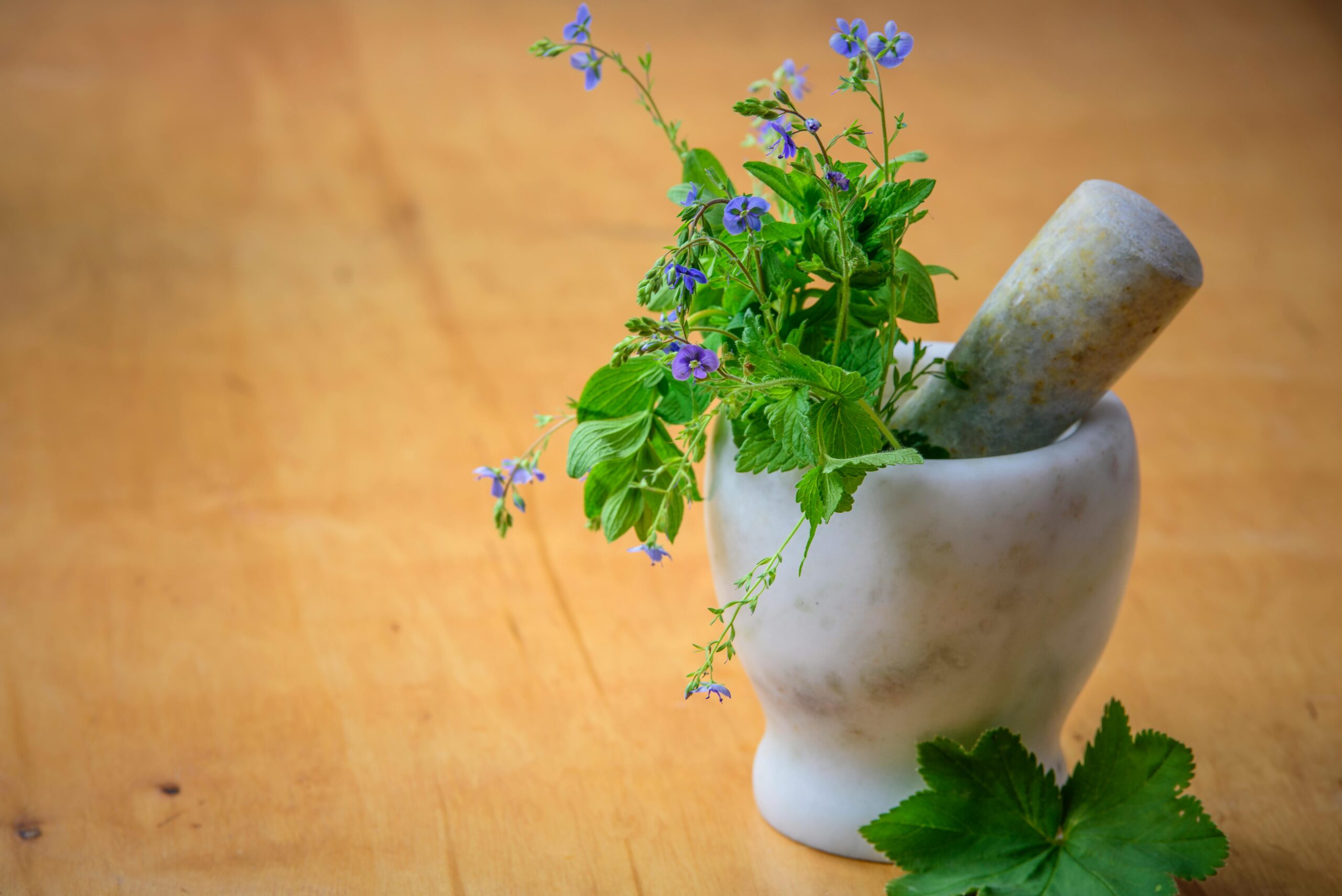 5 Chinese Herbs That Can Help Regrow Hair on Bald Patches
